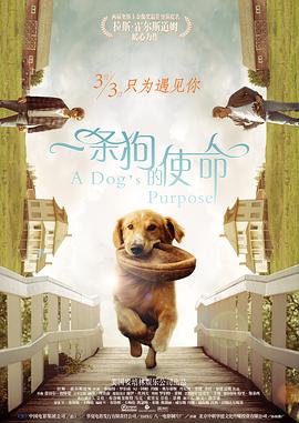 成人精品视频在线
