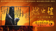 在线观看你懂的视频