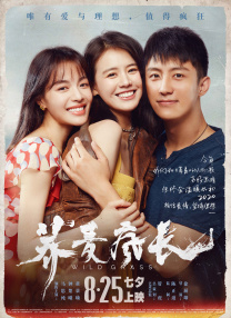 东北水仙二嫂